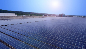 中美硅晶与悟空体育光电携手战略合作