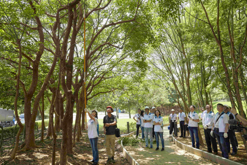 藝師教導大家認識樹木、檢查樹的健康狀況，學習修枝及碎枝覆土